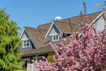 Top of grey stucco luxury house with shingle roof, green trees and nice windows in Spring in...
