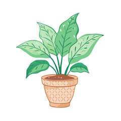 Charming Aglaonema Plant Illustration in Cute Terracotta Pot