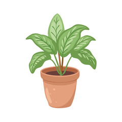 Aglaonema plant in a pot, indoor plant illustration