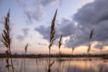 sunset over the river