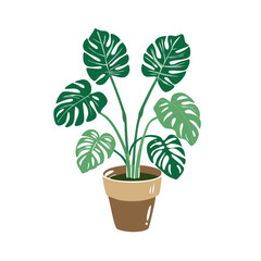 Potted Monstera Deliciosa Illustration on a Black Background