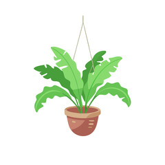 Cartoon Hanging Plant in Pot Isolated on Black