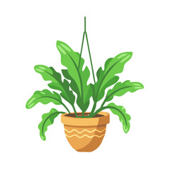 Fototapeta premium Cartoon Hanging Plant Illustration in Pot on Black