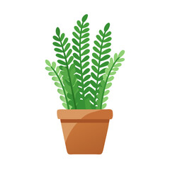 Potted Plant with Green Leaves on Black Background