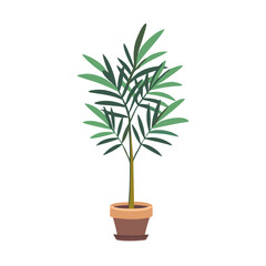 Potted Areca Palm Illustration on Dark Background