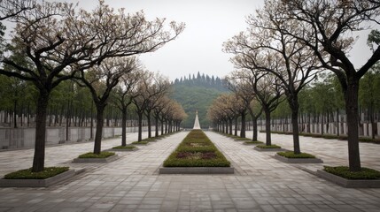A long walkway of trees leading into the distance.