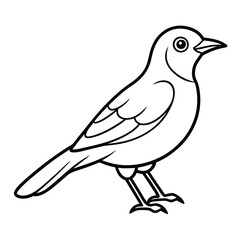 Fototapeta premium Hand drawn bird vector image, Cute Bird illustration for kids.