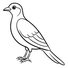 Obraz premium Bird coloring page outline vector Illustration on white color background