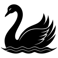 black swan vector