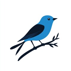 Blue Bird on Branch