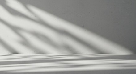 柔らかな光と影 静謐な空間 美しい陰影