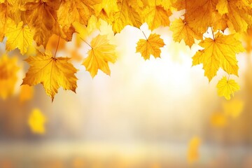 Autumn leaves, fall foliage, golden leaves