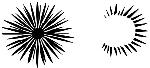 Radiant black silhouettes create an abstract sunburst effect in a minimalist design showcasing dynamic shapes and movement