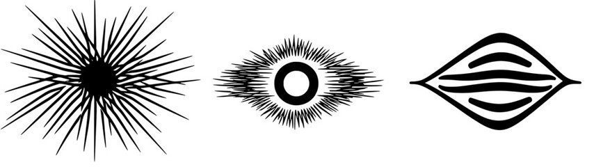 Obraz premium Dynamic abstract shapes radiating energy in a minimalist black and white design