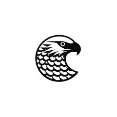 Fototapeta premium Circular Eagle Head
