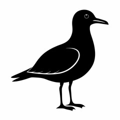 Minimalist Seagull Silhouette Vector