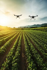 Drones flying over farm fields at sunset