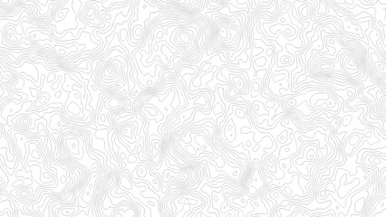 Obraz premium Topography white background and black line wireframe isoline location diagram world map texture design .