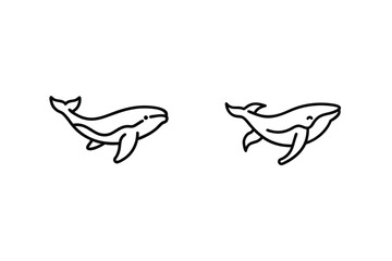Two Whales Line Art Vector Illustration Mammal Marine Animals Ocean Wildlife