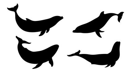 set of Blue whale silhouette vector on white background