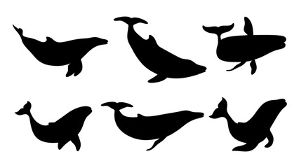 set of Blue whale silhouette vector on white background
