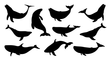 set of Blue whale silhouette vector on white background