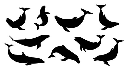 set of Blue whale silhouette vector on white background