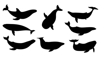 set of Blue whale silhouette vector on white background