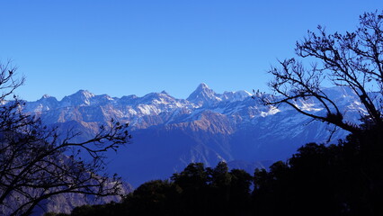 silhouette of tree with gangotri range himalyan view