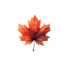 Close up of a beautifully colored and textured fall maple leaf showcasing the rich orange and red hues of the changing foliage season