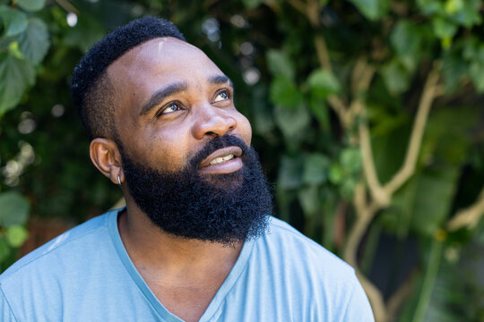 Looking African American man gazing upward in backyard garden, with green foliage, copy space