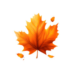 Fototapeta premium A vivid orange maple leaf against a crisp white background capturing the beauty of the fall season