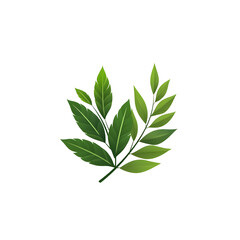 Fototapeta premium Vibrant green leaves in a lush natural setting showcasing the beauty and vitality of plant life