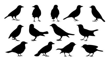 set of black bird silhouette vector on white background