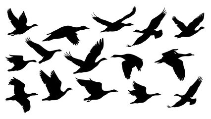 set of black bird silhouette vector on white background