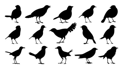 set of black bird silhouette vector on white background