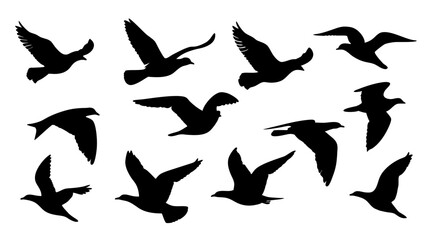 set of black bird silhouette vector on white background