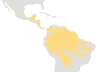 Mapa de la distribución del jaguar (Panthera onca) en América
