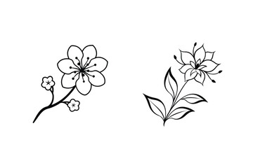 Flower Line Art Illustrations Set Isolated On White Background Digital Artwork
