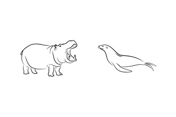 Hippo With Open Mouth And Seal Illustration Black And White Line Art
