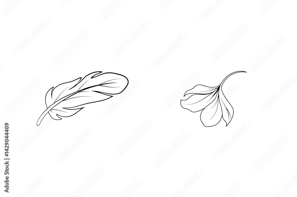 Poster elegant minimalist line art featuring delicate feather and leaf design elements