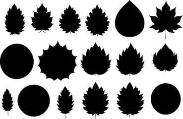 set of autumn leaves