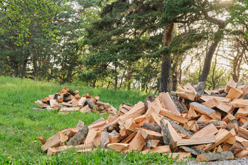 Pile of firewood on the meadow. Selective focus