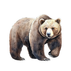 Fototapeta premium Isolated Brown Bear Illustration in Gouache Style with Detailed Features and Realistic Texture