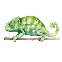 Obraz premium Full Body Chameleon Illustration with Green Patterns and Textures on a Branch
