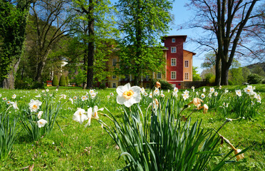 Fototapete bei efototapeten.de bestellen   
