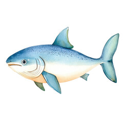 Obraz premium Isolated Illustration of a Coho Salmon with Detailed Features and Vibrant Colors on Transparent background