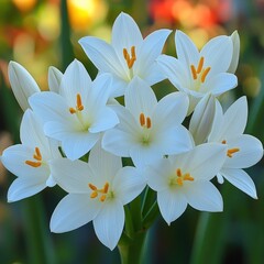 Obraz premium Close-up of white flowers with yellow centers and green stems outdoors.