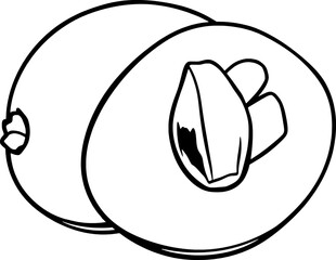 Halved Sapodilla Fruit Illustration A Simple Line Drawing