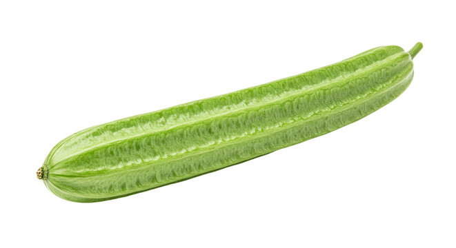 A single angled luffa vegetable with light green skin and ridges isolated on a black background plain view